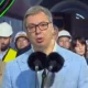 Az újvidéki DIF előtti eseményekről szólva Aleksandar Vučić szerb elnök „leplezetlen gonoszságnak” nevezte az esetet, kifejezte elégedetlenségét a nem elég kemény rendőri fellépés vonatkozásában, és azzal vádolta meg a tüntetőket, hogy súlyos gazdasági kárt okoznak az országnak