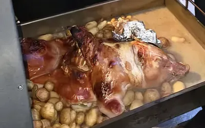 malacsült