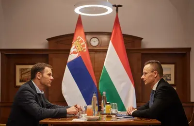 Sinisa Mali plagizált