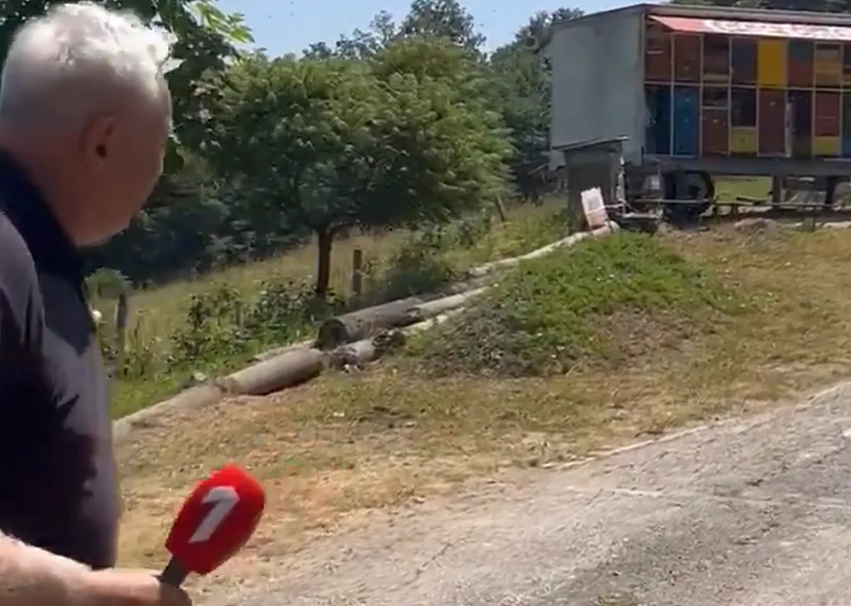 Vajon a kormányközeli Prva TV (Első TV) munkatársa megijedt-e a méhtámadástól, vagy őt felismerték a zümmögő állatkák