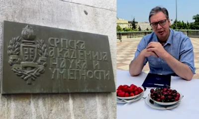 Huszonöt szerb akadémikus a továbbiakban nem szívesen cseresznyézne egy tálból a szerb elnökkel