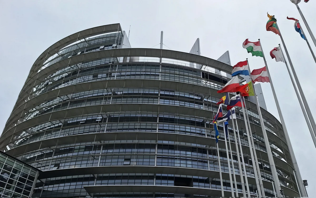 Az Európai Parlament  határozat megjegyzi, hogy a Belgrád–Budapest gyorsvasút a Szerbia–Kína közötti kormányközi megállapodás keretében, a  közbeszerzési törvény keretein kívül, valósult meg két kínai cég - a CRIC és CCCC - bevonásával
