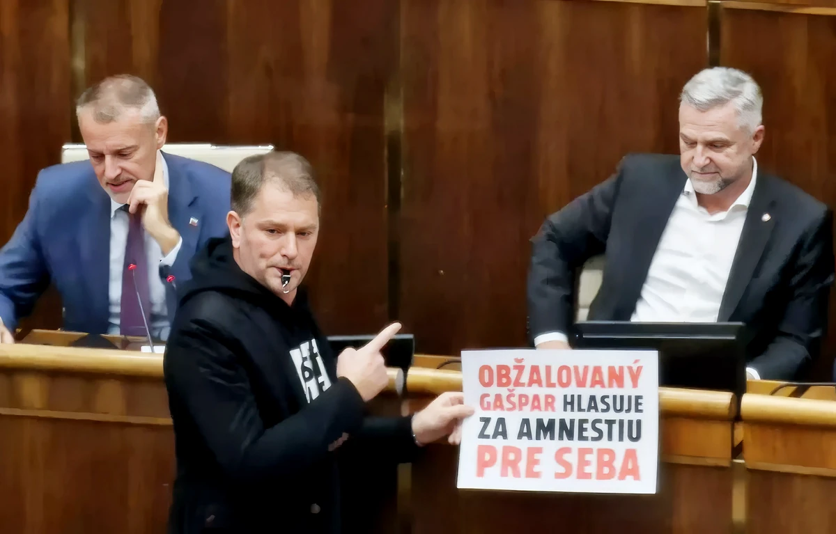 - A vádlott Gašpar saját maga számára szavaz meg amnesztiát - olvasható a Tibor Gašparnak szóló üzenet, a volt országos rendőrfőkapitány Fico pártfogoltjának számít