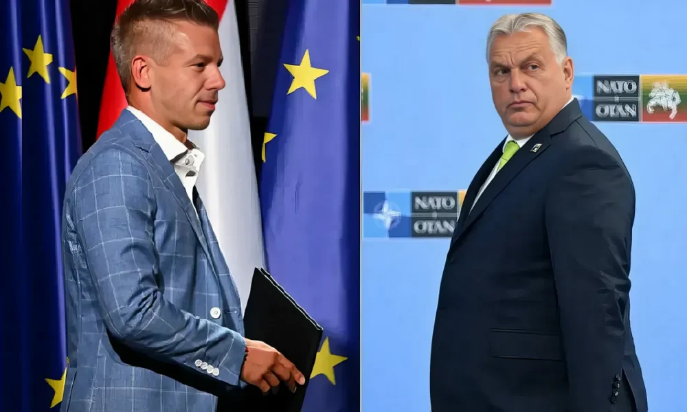 A belgrádi Radar szerint a szerb ellenzéknek követnie kellene a magyarországi példát (Forrás: Radar)