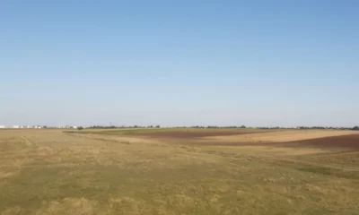 Jellegzetes vajdasági táj Zsablya környékén, amely a magyar-szerb vezeték megépítése után is vélhetően így néz majd ki, mert a csövek a föld alatt haladnak