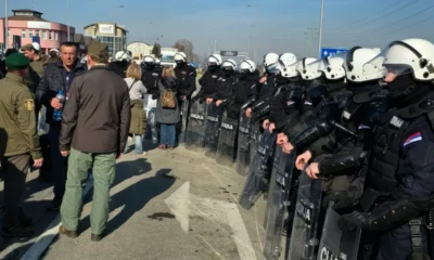 Rendőri demokrácia: A szerbiai fehérfejű teknősbékák (testudo albiceps Serbiensis) már a falvakban is keménykednek a gazdákkal szemben (Forrás: Nova.rs)