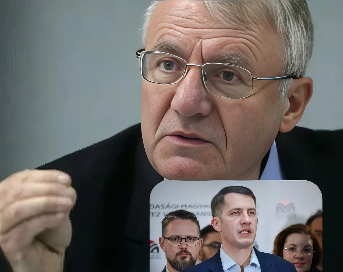 Internetes vélemények szerint a VMSZ mára már a Szerb Haladó Párt (SNS) magyar tagozata. A haladók által kooptál másik politikai szervezet a Szerv Radikális Párt