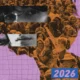 A Liberties 2025-ös jogállamisági jelentése