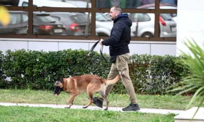 A horvátok kutyákat is bevontak a nemlétező robbanószerkezetek keresésébe a múltheti bombariadók során