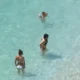 Mennyire tiszta az Adriai-tenger, a környezetvédők elmérték, vagy meg kell kongatni a vészharangot?